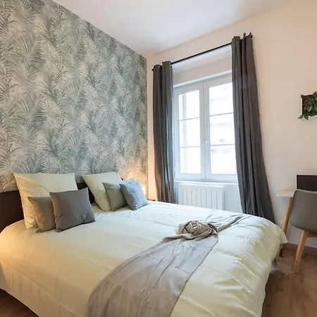 Apartamento Monséjourcosy - L'escapade - Spacieux - Netflix Mulhouse